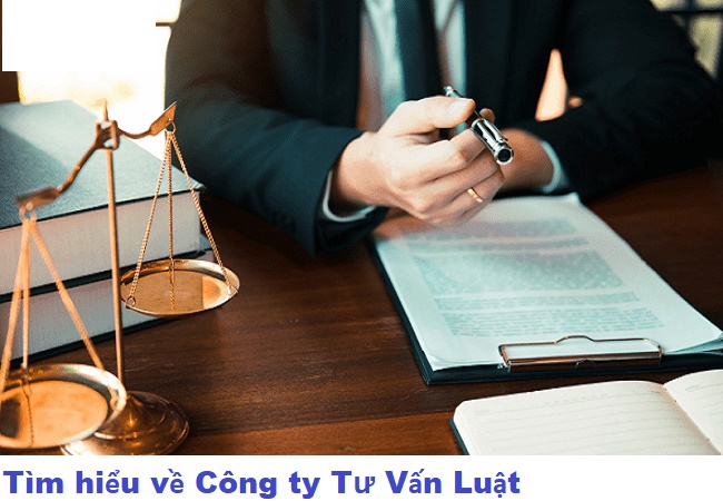 Công ty tư vấn luật là gì